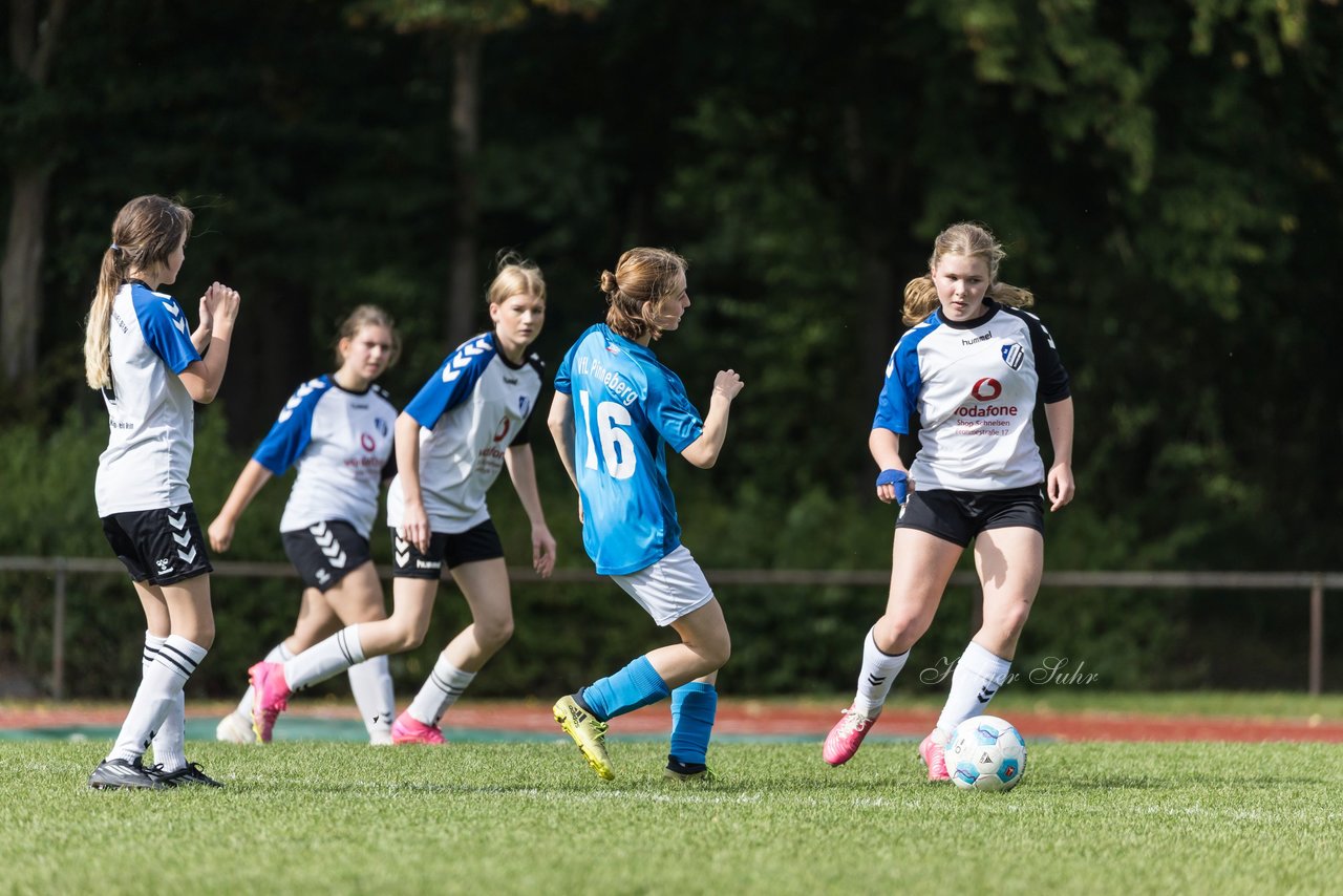 Bild 282 - wBJ VfL Pinneberg - Germania Schnelsen : Ergebnis: 15:1